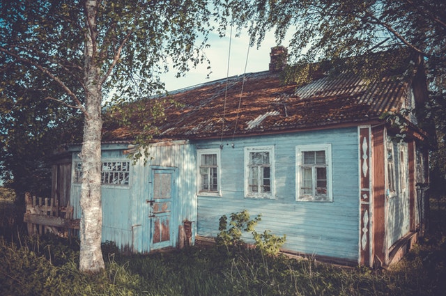 Stará, drevená modrá chata uprostred lesa.jpg